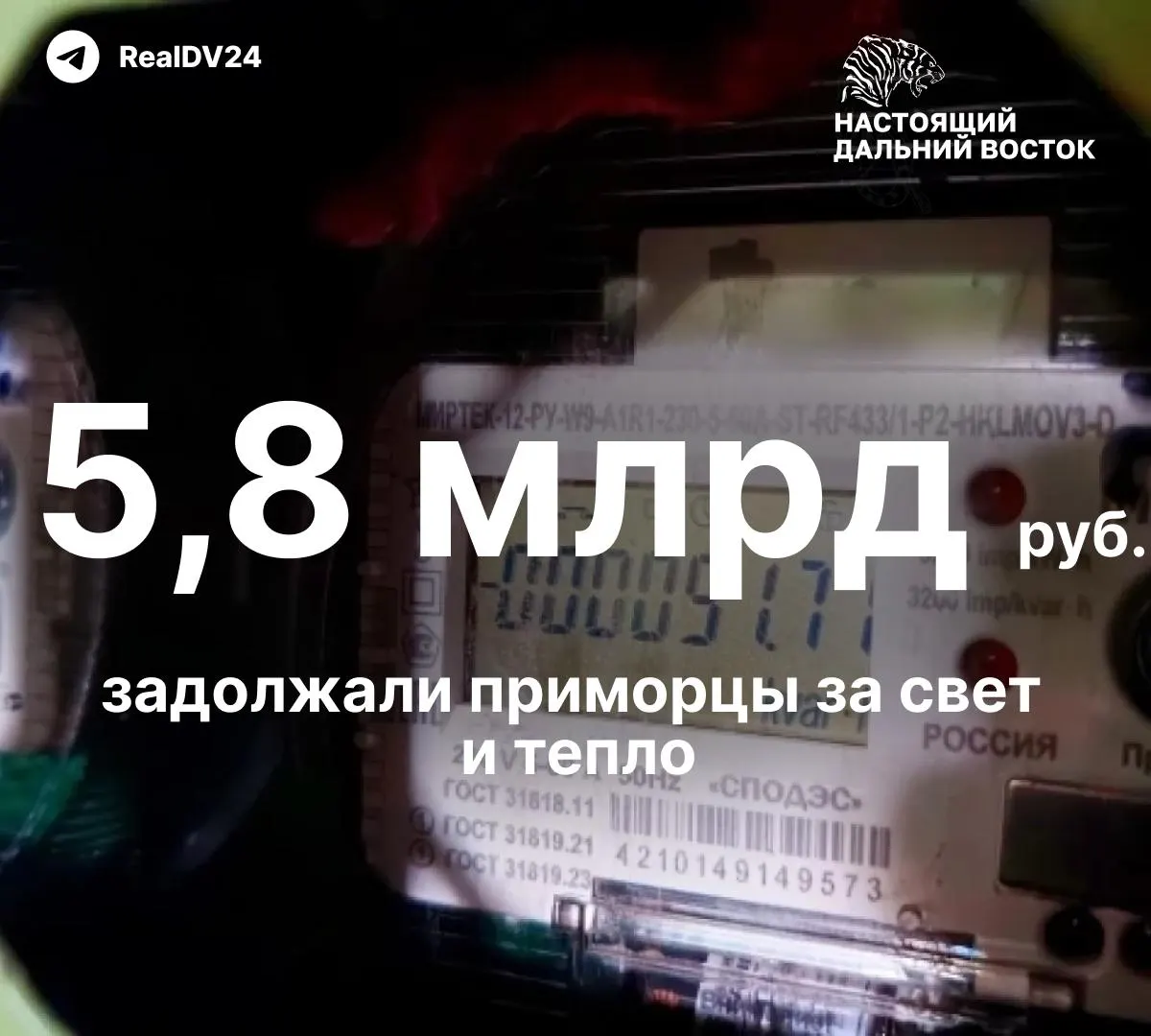 В Приморском крае из‑за задолженности жителей свыше 5,8 млрд руб. начали массовые отключения электроэнергии и горячей воды: около 13 тысяч уведомлений направлены должникам, после 20 дней неплатежей последуют отключения.