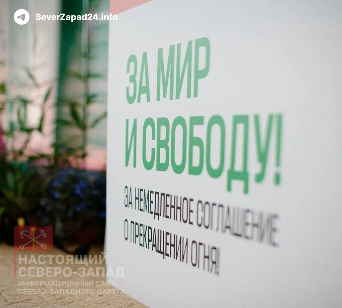 Партия представила краткую предвыборную программу: требования немедленного прекращения огня, переговоров, отказа от ядерной эскалации, свободы информации и прекращения политических репрессий. В партии считают, что голосование должно быть возможностью мирно выразить несогласие с текущим курсом.